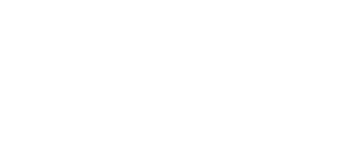 Fişekçioğlu Demir